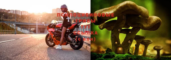крисы Волоколамск