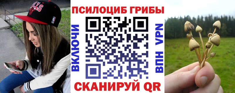 Галлюциногенные грибы Magic Shrooms  Вятские Поляны 